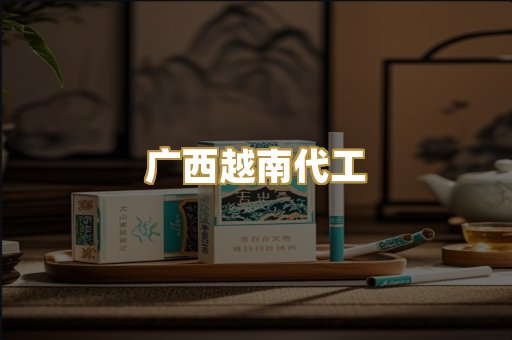 广西越南代工